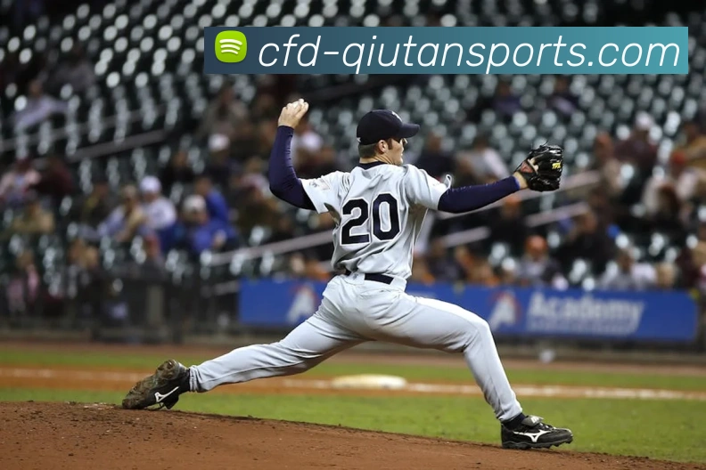 球探体育平台生态图