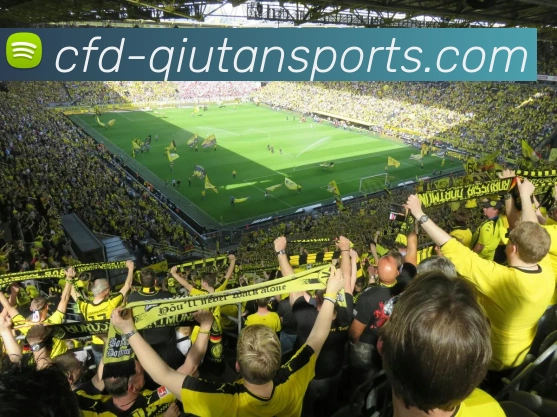 球探体育全站App